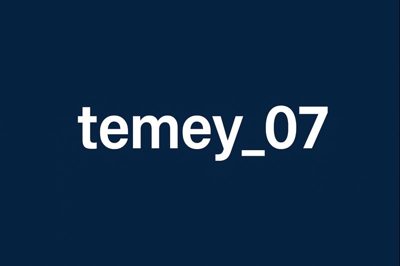 temey_07